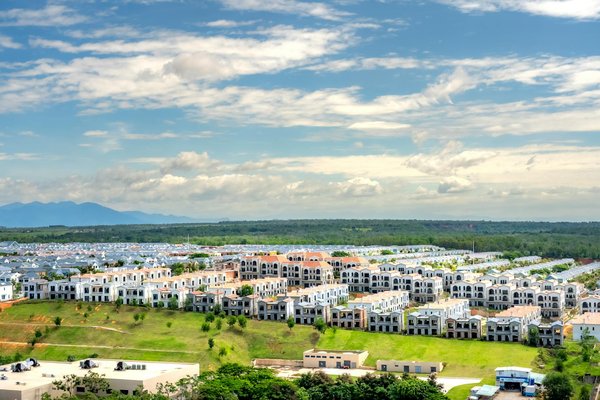 Optimiser et Enrichir la Qualité du Sol de Votre Potager : Les Secrets d'un Jardin Florissant